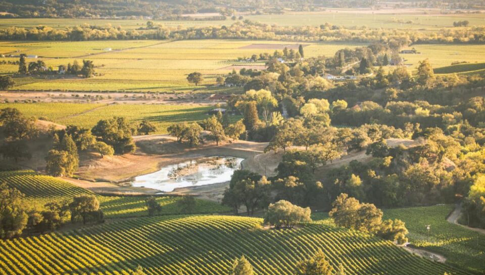 Greener Spaces Command a Premium